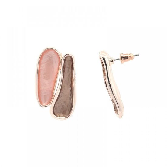 Emaljēti auskari E119